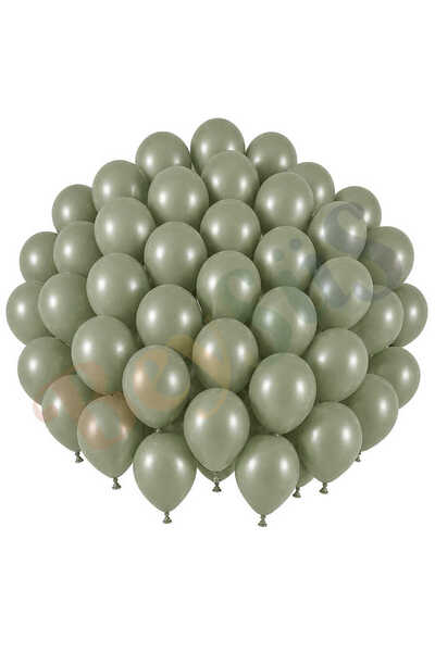 BeySüS Sage Green Color Latex Retro Balloon (30 cm) - 50 Pieces