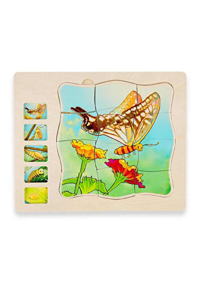 Puzzle بزل مراحل نمو الفراشة متعدد الطبقات