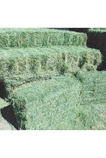 rrm tedarik doğal kaliteli kuru yonca tavşan yemi kuru yonca 500 gr