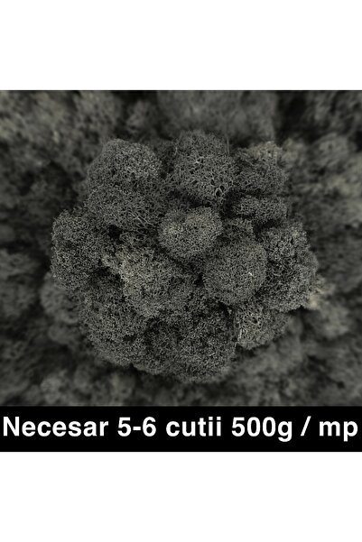 Roberto Rossi Licheni curatati si fara radacina conservati 500g NET, calitate...