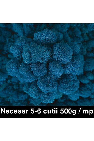 Roberto Rossi Licheni curatati si fara radacina conservati 500g NET, albastru...