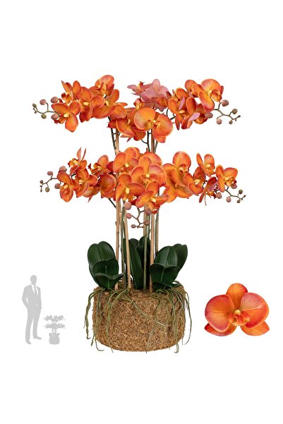 Roberto Rossi Orhidee artificiala portocaliu cu grena cu aspect H72 cm cu 6 t...