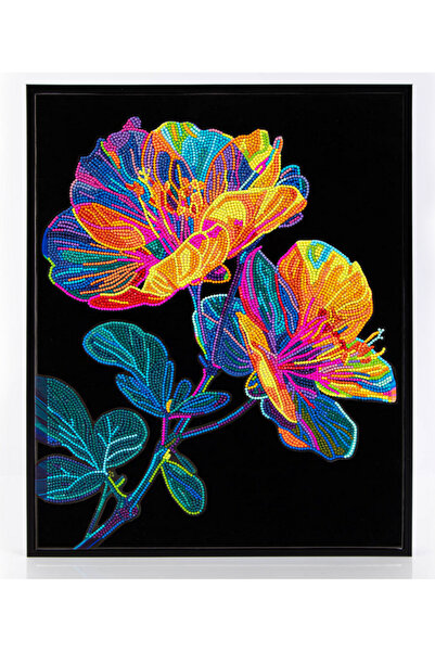 EleganTShoP Diamond Dotz 5D Yapışan Boncuk Mozaik Tablo 43,5*53,7 cm DD25.007