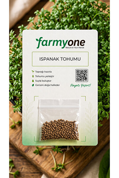 farmyone Yerli Ispanak Tohumu 200 Adet