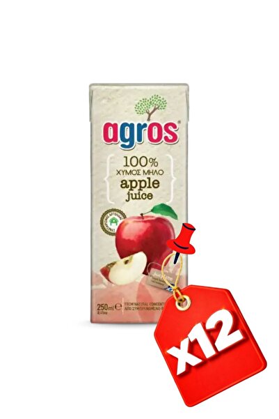 Agros 12x APPLE 100% 250 ml