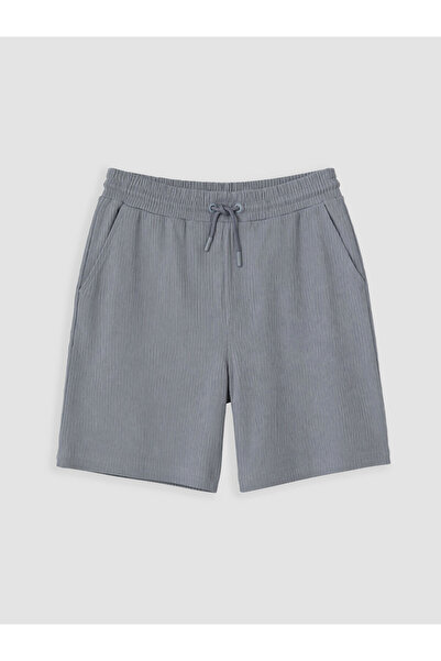 LC Waikiki Blue Regular Fit Men's Shorts