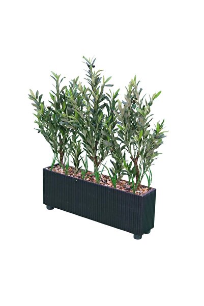 Al Hadaya Mall Olive Tree Box with Plastic Base in Luxury Design - Black - 80...