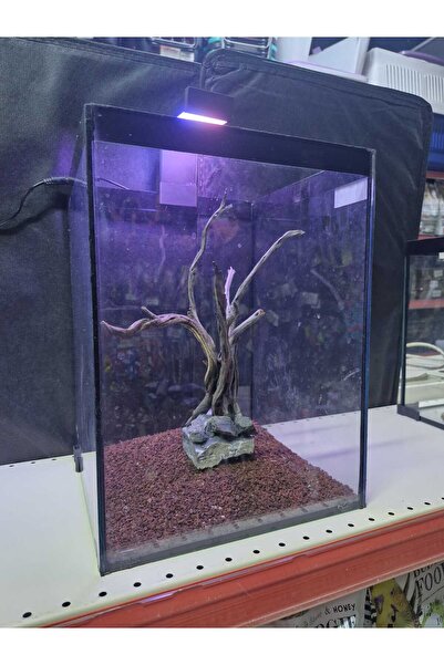 Aqua YENİ NESİL BETTA HOUSE AKVARYUM ASKI LED LAMBALI 21x20x30 cm
