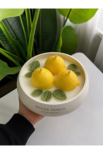 Hediyeni Al VANILIA ATELIER | El Yapımı Taş Tozu Beton Saksılı Limon Dekorati...