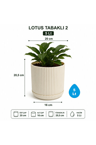 KıtayGroup Lotus Tabaklı Dekoratif İç ve Dış Mekan Saksı 5 LT