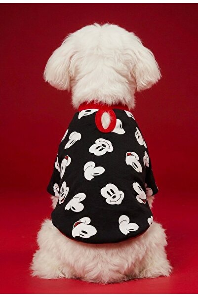 Lokums Mickey Patterned Short Sleeve Summer Dog T-Shirt Dog Outfit