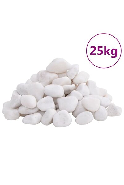 vidaxl Pietre de râu șlefuite, 25 kg, albe, 2-5 cm