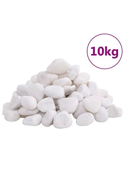 vidaxl Pietre de râu șlefuite, 10 kg, albe, 2-5 cm