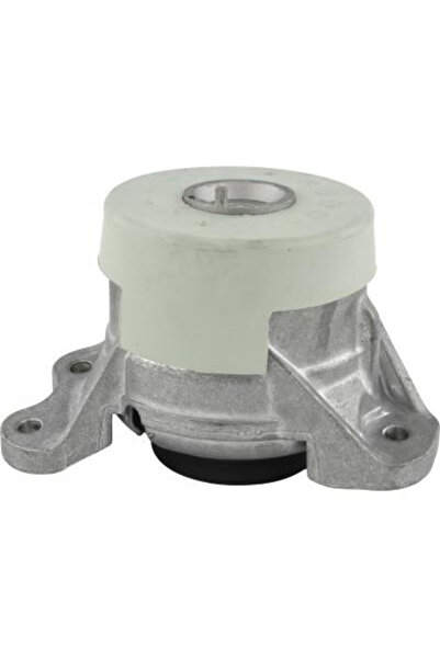 FEBEST Suport motor BZM-2054WDLH