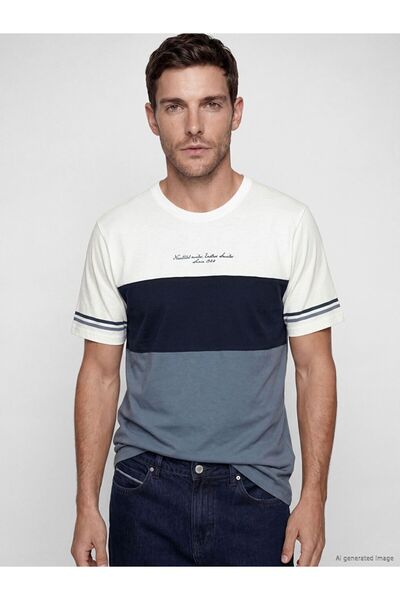 LC Waikiki Crew Neck Color Block Men's T-Shirt