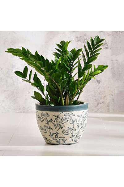 PAN HOME Hamilton Ceramic Planter 31x31x24cm - Blue