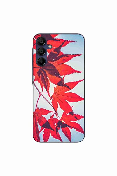 OEM Θήκη συμβατή με Samsung Galaxy A15 4G 5G Σιλικόνης Τζελ TPU με σχέδιο Φθι...