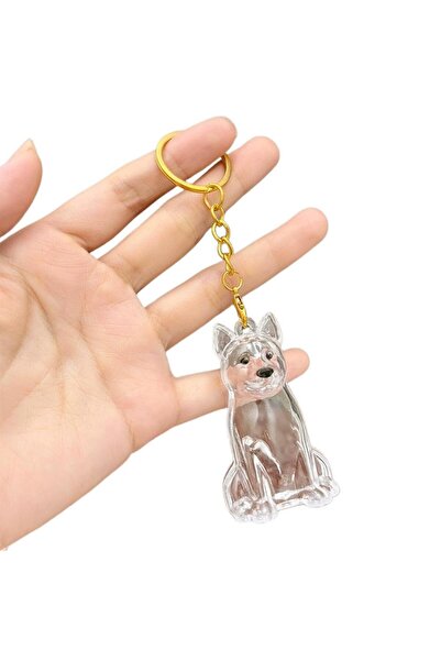 Choice5 E Dog Hair Collection Pendant Hair Storage Box Charm Pet Cute Keychai...