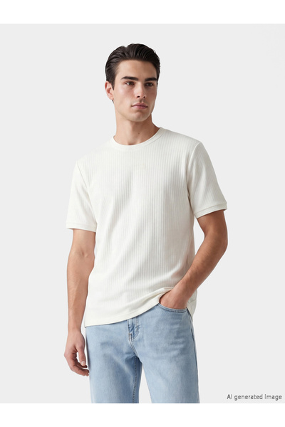 LC Waikiki Crew Neck Structured Men's T-Shirt