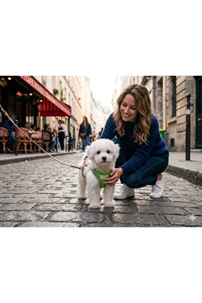 PATİZİSHOP Neonpati̇ Pet Chest Harness 3XS Size