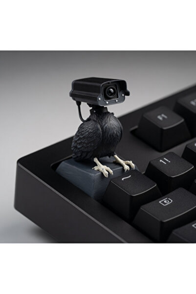 Keybitcap Surveillance Pigeon Keycap – Güvenlik Kamerası Güvercin El Boyaması...