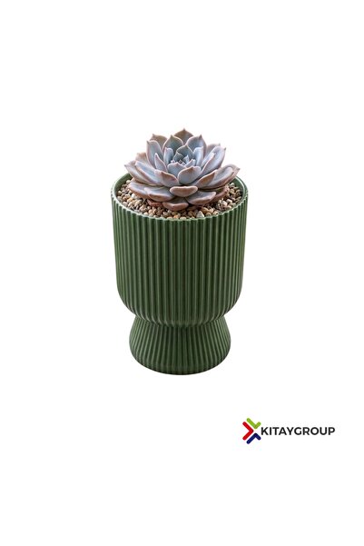 KıtayGroup Lotus Vazo Ayaklı Dekoratif İç Ve Dış Mekan Saksı 1,8 LT