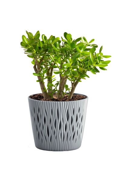 EDANTI Ghiveci de casă Sandy Rotund 15.8 cm + Inserție, Piatră Gri