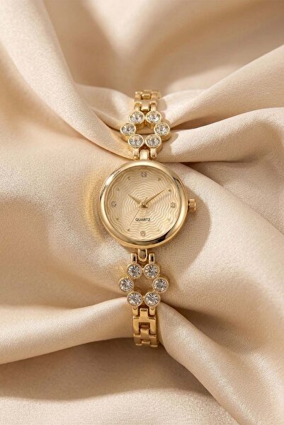 GANYMET Genius Women's Gold Steel Watch with Champagne Textured Dial and Ston...