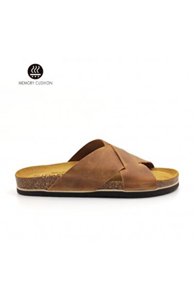 PLAKTON 175007 Apure Roble