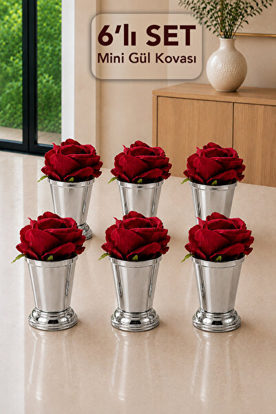 Meleni Home 6-Piece Silver Presentation Bowl with Stand - Coffee Side Decorat...