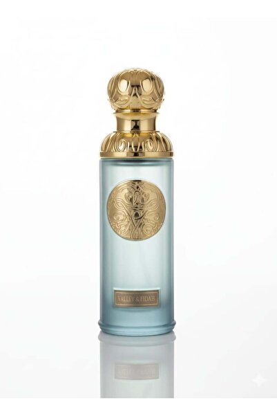 FIDAH عطر فضة ( فالي 100ملي ) ازرق | عطر للجنسين | مسكي فاخر | رائحة مميزة | ...