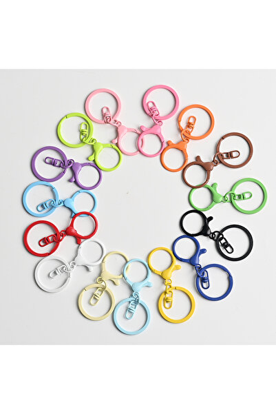 Choice41 10 pcs Mix Random Color 2/5/10pcs Keychain Lobster Clasp Spring Buck...