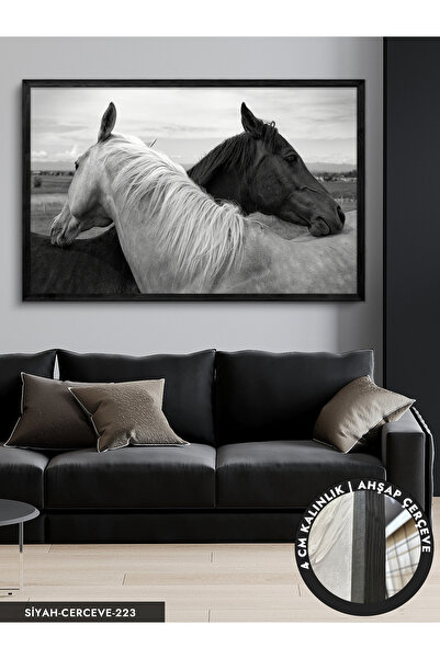 Evinemoda Siyah Beyaz At Tek Parça Siyah Çerçeveli Kanvas - Canvas Tablo