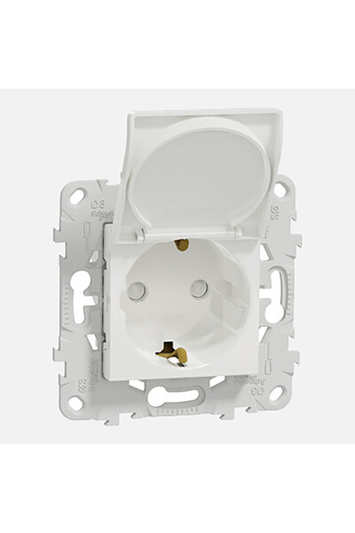 Schneider Electric Schneider Nu503718Ta German Covered Grounded Socket 2 Phase