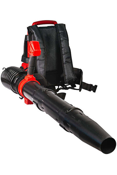 Raider RDP-BBL20 Φυσητήρας Φύλλων Μπαταρίας Ώμου 40V Solo με Μέγιστη Ταχύτητα...