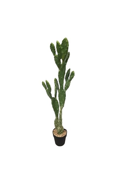 SUPERGREENS Τενητό Φυτό Φραγκοσυκιά "Opuntia" 91,5 εκ.
