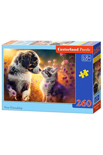 Castorland Puzzle, Castorland, 8+ ani, 25 x 17 x 4 cm, Multicolor