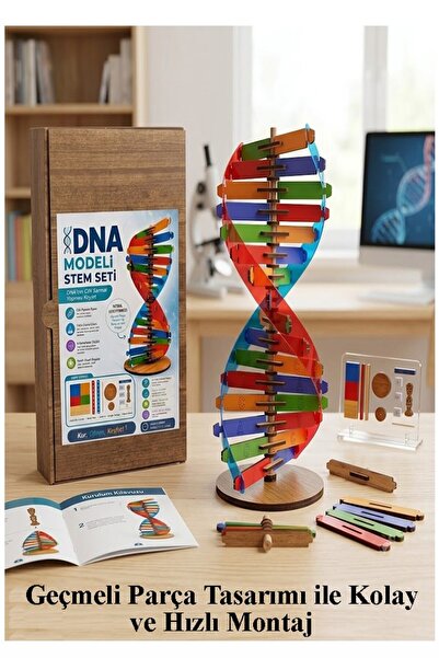 Artmaster Dna Modeli 1 Paket Ahşap DNA Yapım Seti Dna Sarmalı Deney Yapım Set...