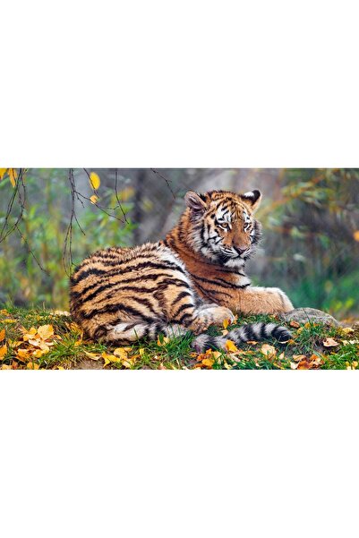 Persona Tablou canvas 100 x 70 cm, Animale model 131