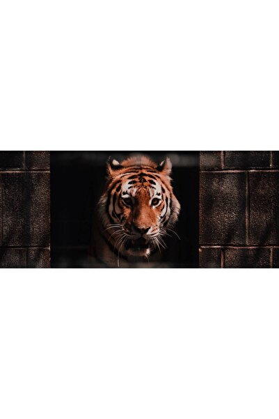 Persona Tablou canvas 100 x 70 cm, Animale model 594