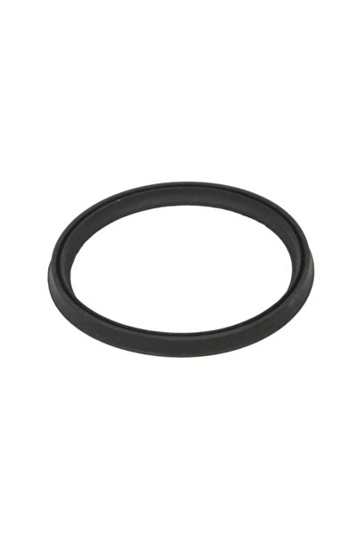 Thermotec Inel Etansare Furtun Aer Supraalimentare DACIA DOKKER/DUSTER/LODGY/...