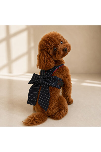 DoReDo-g Fiyonklu Kot Köpek Göğüs Tasması Ayarlanabilir Şık Harness Lacivert
