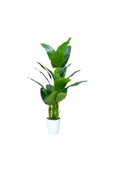 BYT ALRWASM FOR TRADE Artificial tree with perfect artificial tropical leaves...