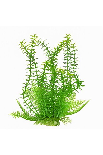 Ocean Free Plante acvatice artificiale decor Egeria 26 cm