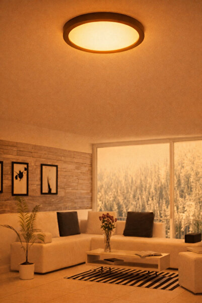 Empressco 24W Yuvarlak Tavan Lambası, Sarı Işık, Siyah Kasa, 220V, Ofis ve Ki...