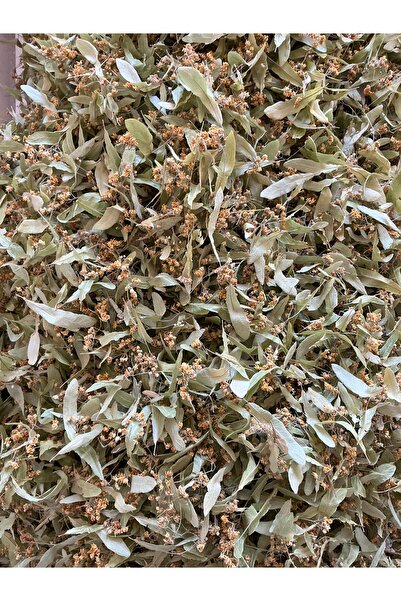 BUTİKOLEA Yeni Mahsul Köy Ihlamur 1 KG (gölgede kurtulmuş saf doğal saf doğal...