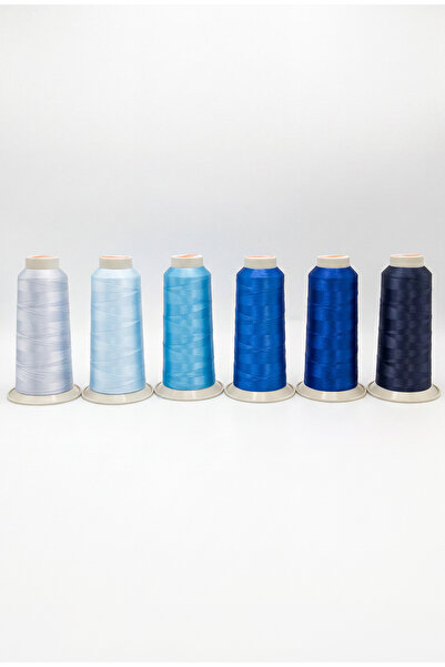 Enstitü İplik Machine Embroidery and Sewing Thread Set of 6 Summer Colors