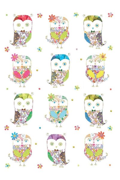 Turnowsky Felicitare cu plic, Turnowsky, B6, Bufnite, Multicolor