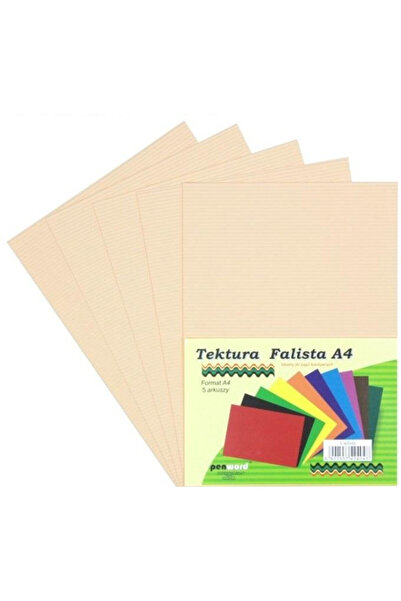 PENWORD Carton ondulat/tektura Penword, A4 305×228 mm, 5 foi, multicolor
