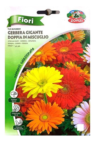 ZORZI Gerbera Seeds